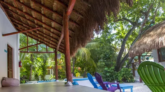 Beds Friends Hostel | Quintana Roo - Cozumel