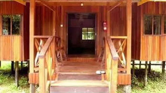 Bilit Adventure Lodge | Sabah - Kota Kinabatangan - Kampung Bilit