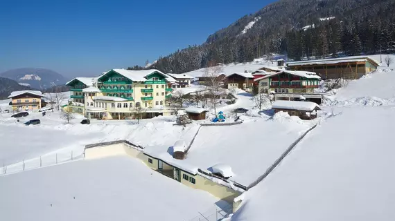 Wohlfühlhotel Martinerhof | Salzburg (eyalet) - Sankt Johann im Pongau - Sankt Martin am Tennengebirge