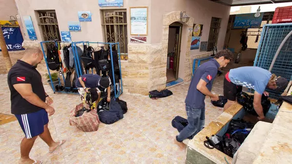 Arab Divers | Akabe İli - Aqaba