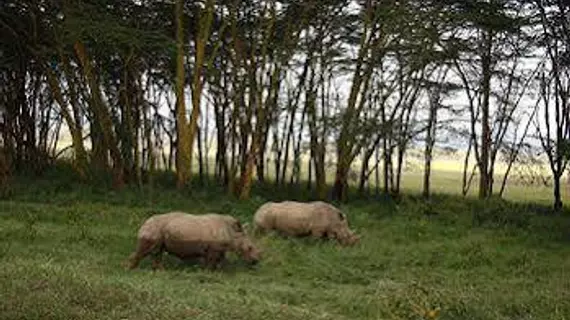 Sarova Lion Hill Game Lodge | Nakuru İlçesi - Nakuru (ve civarı) - Nakuru