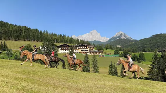 Hotel Neubergerhof | Salzburg (eyalet) - Sankt Johann im Pongau - Filzmoos