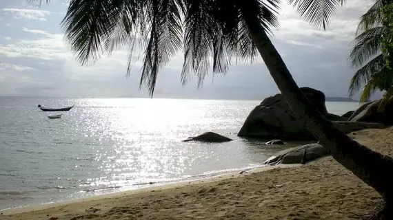 Thongyang Bungalow | Surat Thani (vilayet) - Koh Phangan