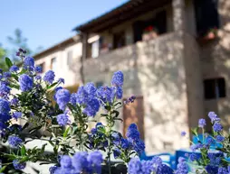 Agriturismo San Galgano | Toskana - Siena (vilayet) - Chiusdino