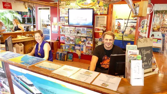 Calypso Inn Backpackers Resort | Queensland - Cairns - Cairns (ve civarı) - Cairns North