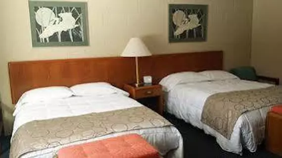 Peninsula Motel | Ontario - Owen Sound (ve civarı) - South Bruce Peninsula