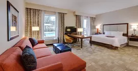 Hampton Inn & Suites Dallas/Plano-East | Teksas - Dallas (ve civarı) - Plano