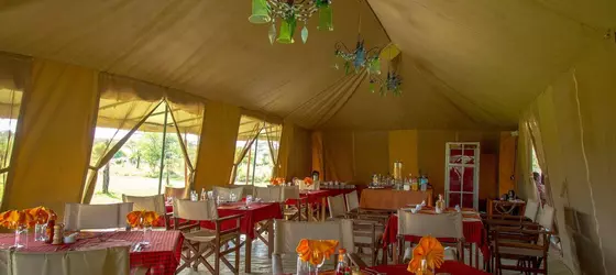 Kisura Serengeti Tented Camp | Serengeti Ulusal Parkı