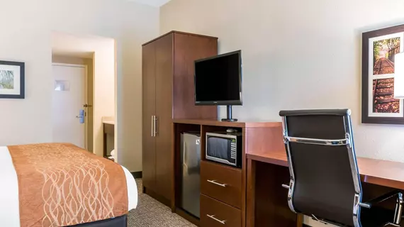 Comfort Inn | Pensilvanya - Gettysburg (ve civarı) - Chambersburg - İskoçya