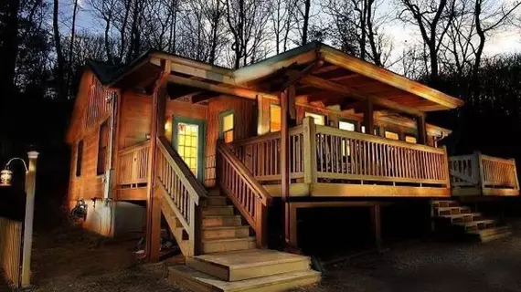 Cherokee Point Cabin | Georgia - Blue Ridge (ve civarı) - Ellijay