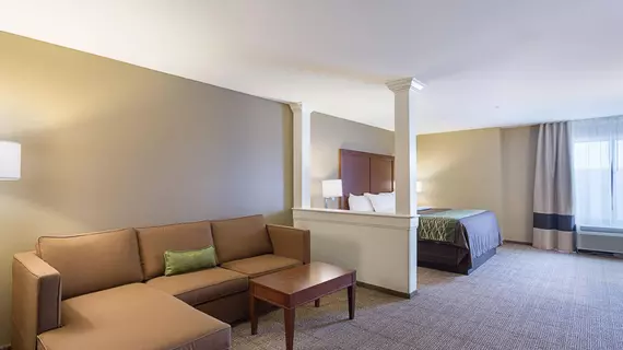 Comfort Inn and Suites Zachary | Louisiana - Baton Rouge (ve civarı) - Zachary