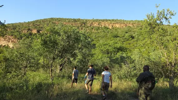 Kaingo Private Game Reserve | Limpopo - Waterberg District - Vaalwater