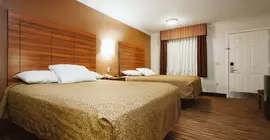 Palace Inn Wayside | Teksas - Houston (ve civarı) - Houston