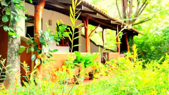 Sisira Natural Lodge | Merkez Vilayet - Matale Bölgesi - Sigiriya