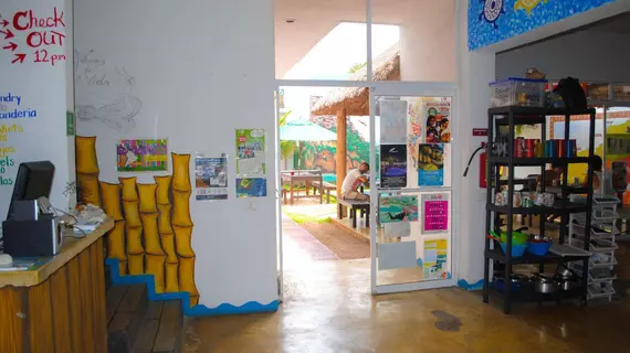 Hostal Vive la Vida | Quintana Roo - Solidaridad - Playa del Carmen - Centro