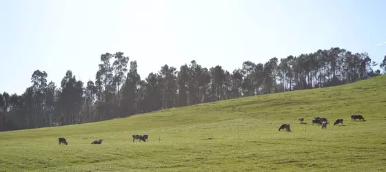 Rural Casa Carceleiro | Galicia - La Coruna (vilayet) - Arzua