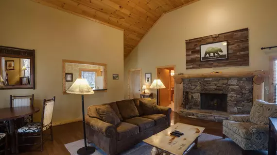 Dancing Bear Lodge | Tennessee - Gatlinburg - Pigeon Forge (ve civarı) - Townsend