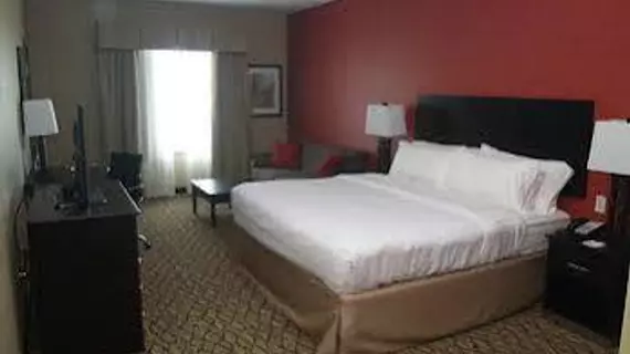 HOLIDAY INN SALINA | Kansas - Salina (ve civarı) - Salina