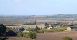 Demeure Château de Ternay | Nouvelle-Aquitaine - Vienne (bölge) - Ternay