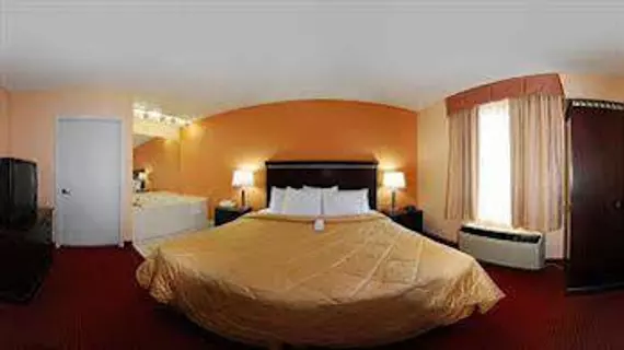 Comfort Inn Lincoln | Alabama - Oxford (ve civarı) - Lincoln