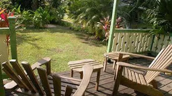 Country Country | Westmoreland - Negril (ve civarı) - Negril