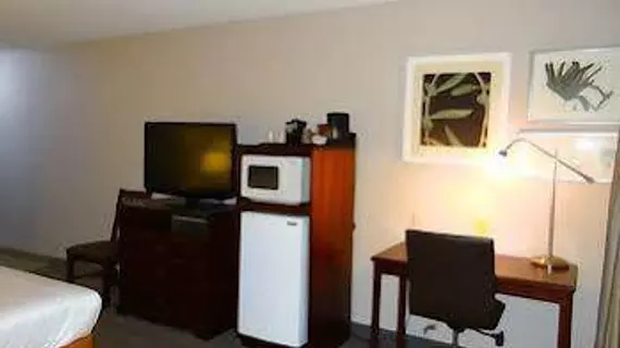 Country Inn and Suites - Salisbury | Maryland - Salisbury (ve civarı) - Salisbury