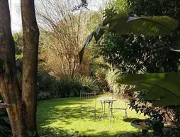 Pin Oaks bnb | Gauteng - City of Tshwane - Johannesburg (ve civarı) - Sandton