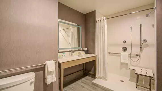 Holiday Inn and Suites Houston West Katy Mills | Teksas - Houston (ve civarı) - Katy