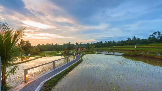 Cahaya Ubud Villa | Bali - Ubud