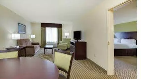 Holiday Inn Express & Suites Sarasota East | Florida - Sarasota (ve civarı) - Sarasota