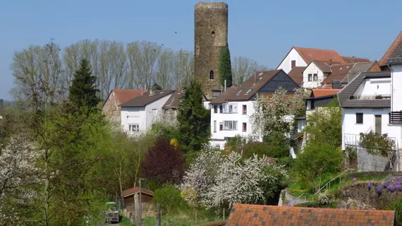 Hotel Lindner | Hessen - Idstein