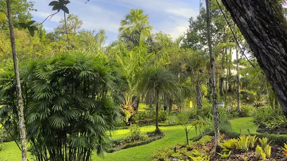 Las Cruces Biological Station | Puntarenas (ili) - San Vito