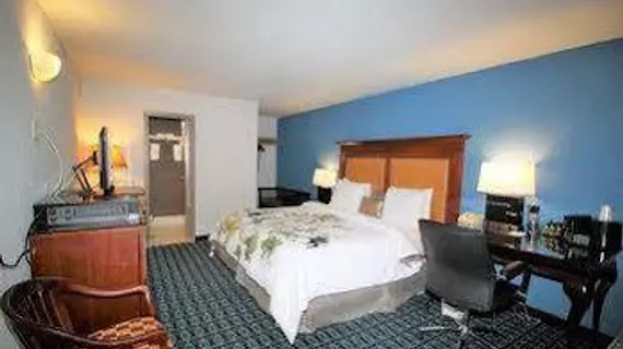 Americas Best Value Inn - Downtown / Midtown | Georgia - Atlanta (ve civarı) - Atlanta - Midtown