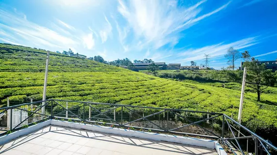 Villa Tea Fields | Merkez Vilayet - Nuwara Eliya Bölgesi - Nuwara Eliya