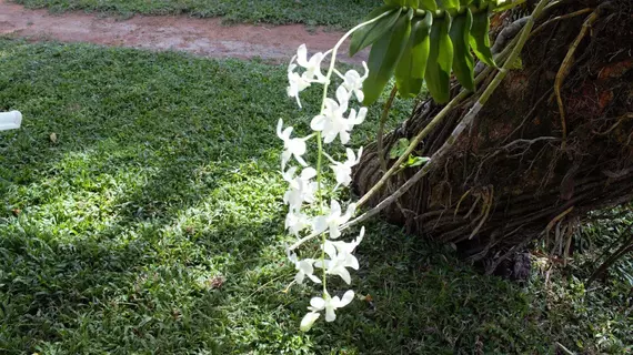 Villa Shade | Gampaha Bölgesi - Negombo