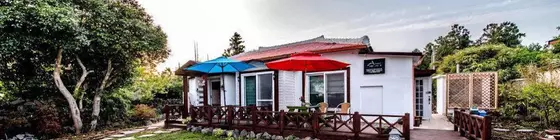 Airest | Jeju Adası - Seogwipo - Jungmun