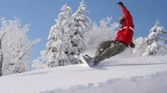 Pension Gooseberry | Hokkaido - Furano