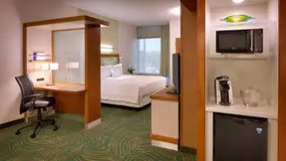 SpringHill Suites by Marriott Houston I-45 North | Teksas - Houston (ve civarı) - Houston