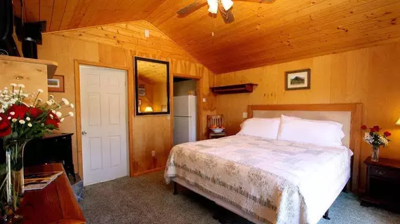 The Woods Resort - A Gay Friendly Resort | Kaliforniya - Sonoma İlçesi - Guerneville