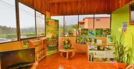 Hotel Cipreses | Puntarenas (ili) - Monteverde