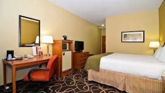 Holiday Inn Express Atlanta-Stone Mountain | Georgia - Atlanta (ve civarı) - Lilburn