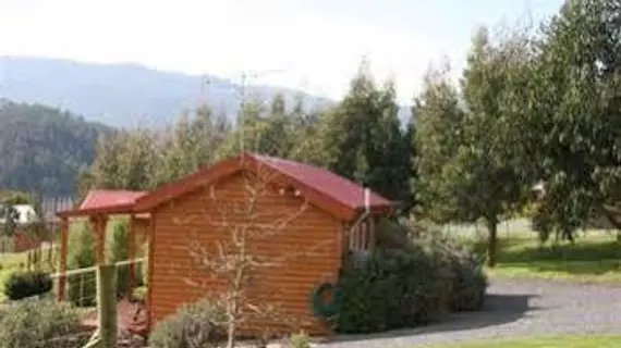 Maydena Country Cabins Accommodation & Alpaca Stud | Tazmanya - Maydena - Fitzgerald