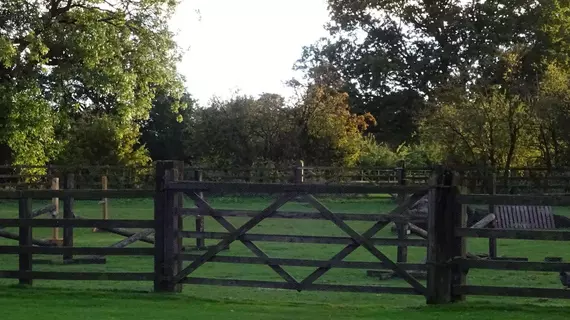 The Chequers Inn | Kuzey Yorkshire (kontluk) - Harrogate - Bishop Thornton