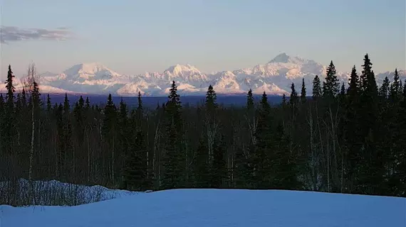 Out of the Wild | Alaska - Denali (ve civarı) - Talkeetna