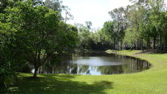 Sherwood Forest RV Resort | Florida - Orlando (ve civarı) - Lake Buena Vista - Disney's Maingate East