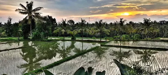 Bisma Cottages Ubud | Bali - Ubud - Ubud Kent Merkezi