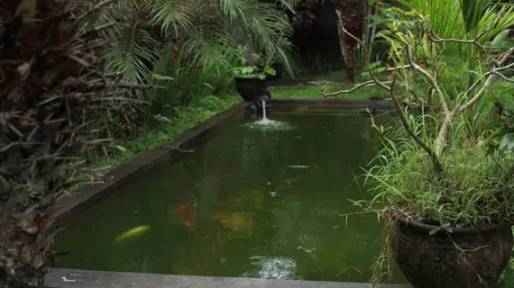 Garden View Cottage | Bali - Ubud