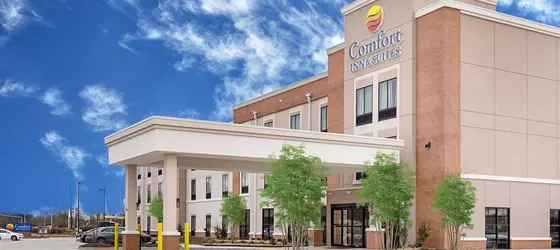 Comfort Inn and Suites Zachary | Louisiana - Baton Rouge (ve civarı) - Zachary