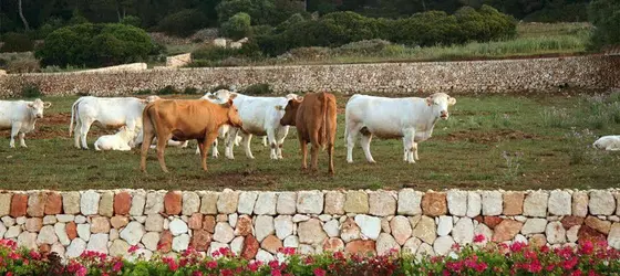 Rusticae Agroturismo Finca Atalis | Balearic Adaları - Menorca - Es Migjorn Gran