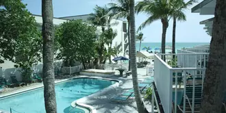 Coquina On The Beach